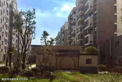 小鲁班最新爆料视频网页,揭秘视频网页背后的精彩内容 第2张 小鲁班最新爆料视频网页,揭秘视频网页背后的精彩内容 第2张